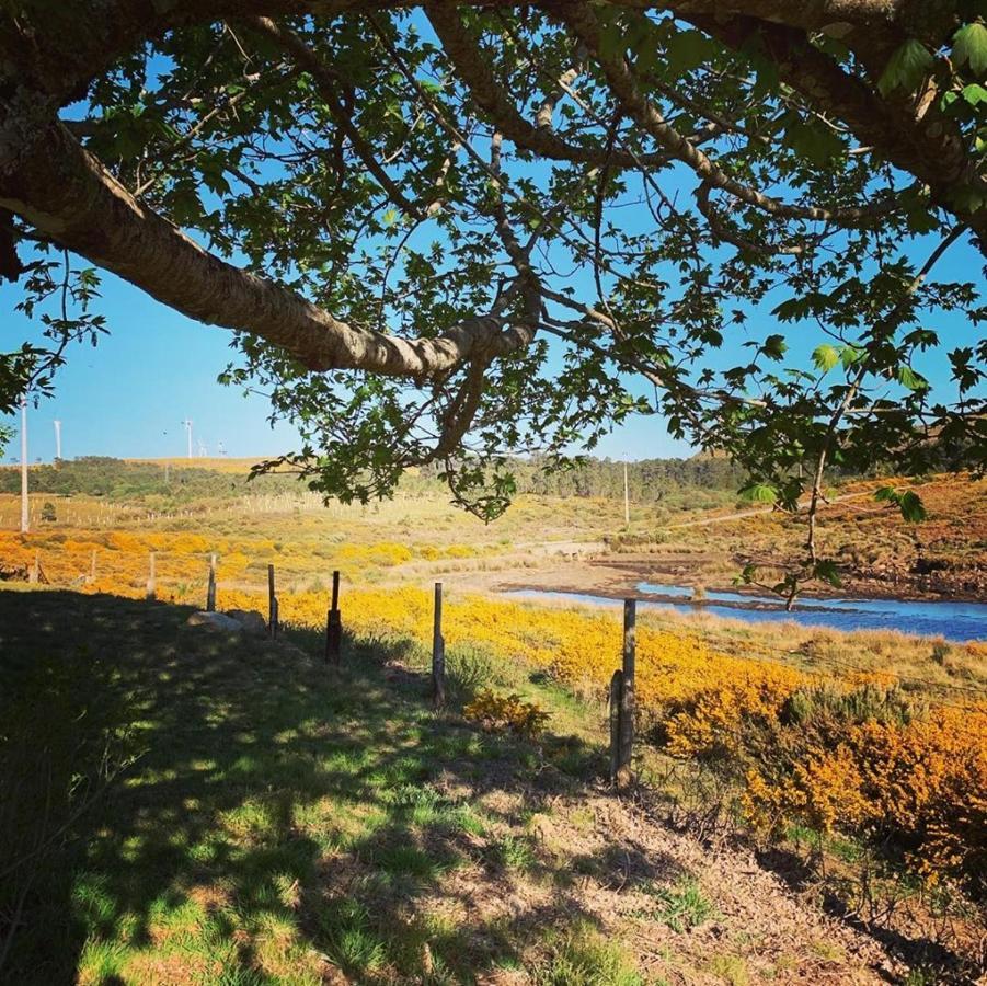 Lago Da Garca Guesthouse 사오페드로도술 외부 사진