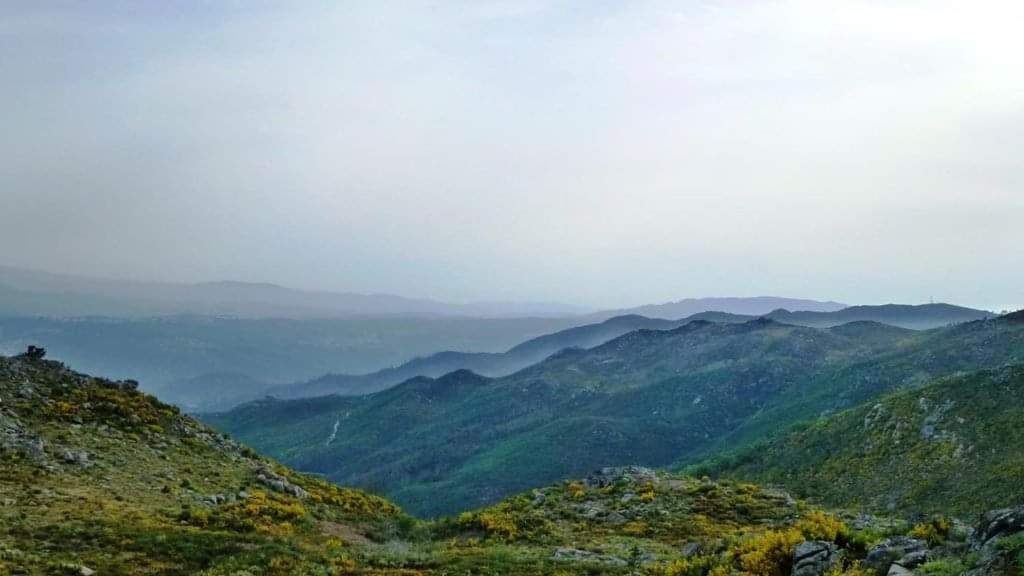 Lago Da Garca Guesthouse 사오페드로도술 외부 사진