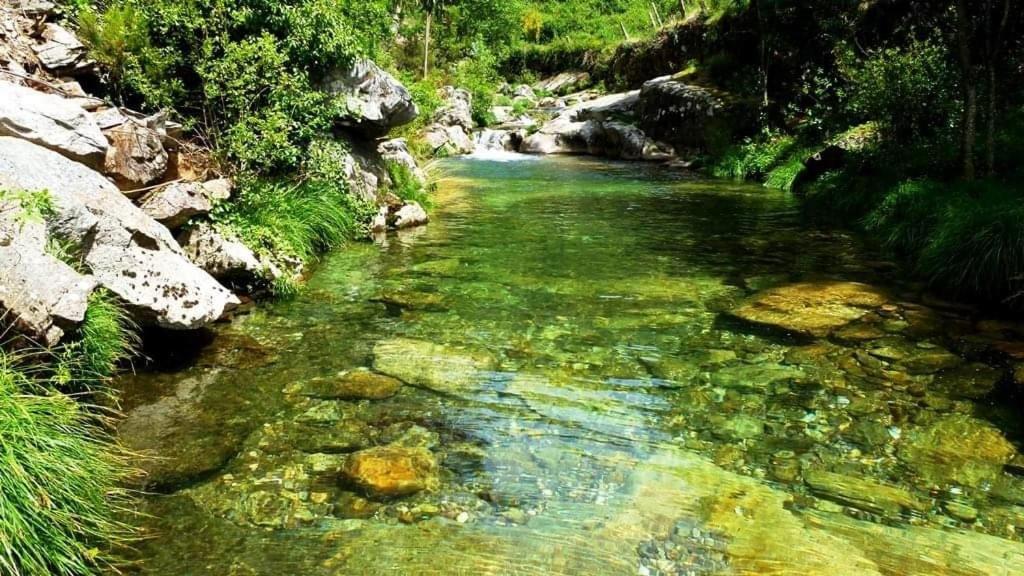 Lago Da Garca Guesthouse 사오페드로도술 외부 사진