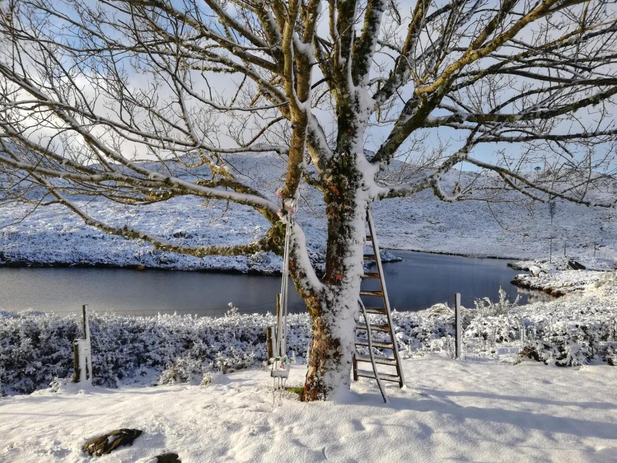 Lago Da Garca Guesthouse 사오페드로도술 외부 사진