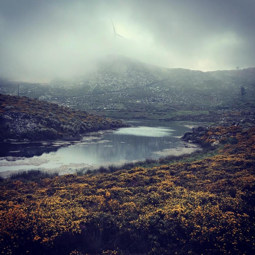 Lago Da Garca Guesthouse 사오페드로도술 외부 사진