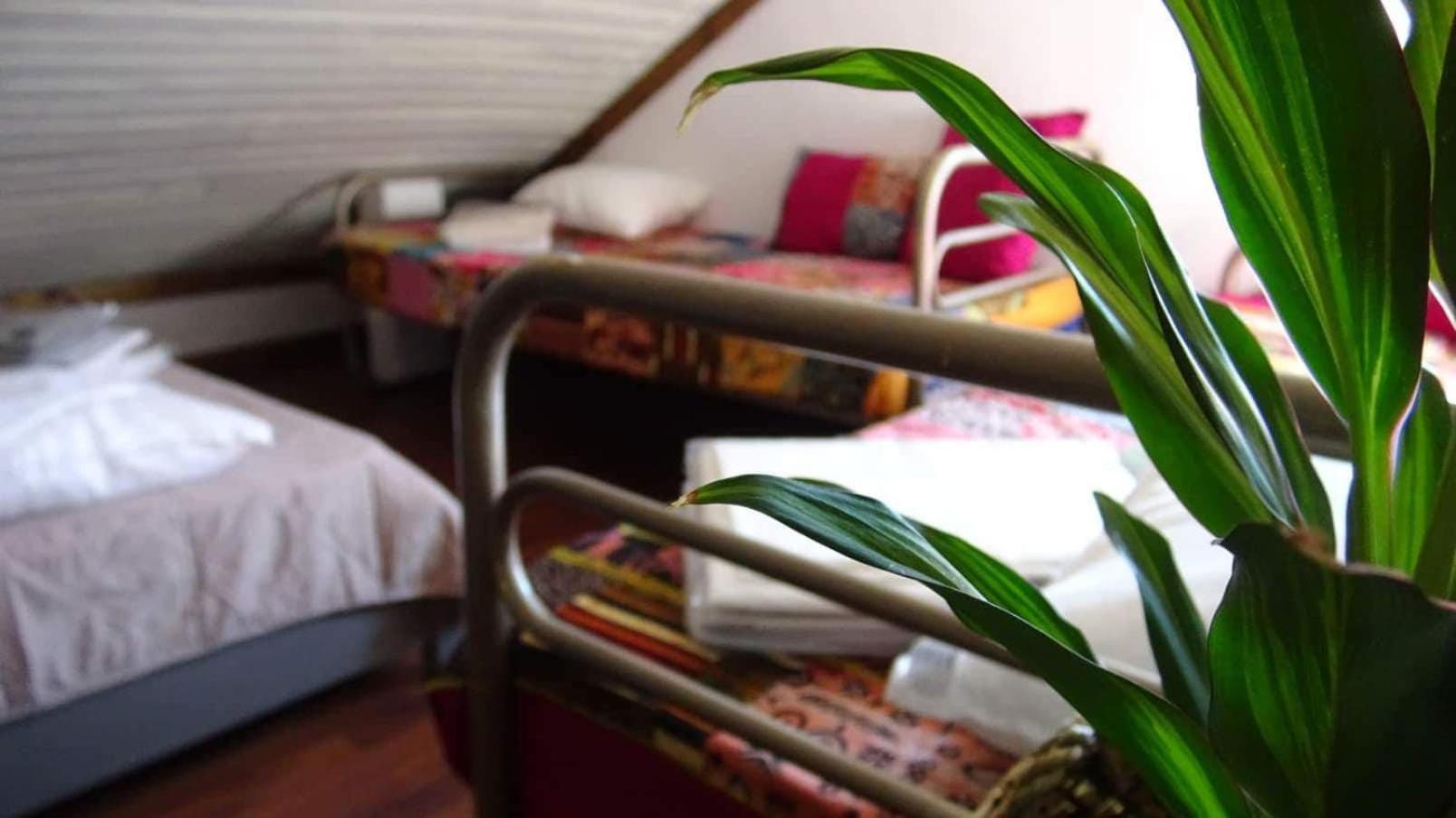 Lago Da Garca Guesthouse 사오페드로도술 외부 사진