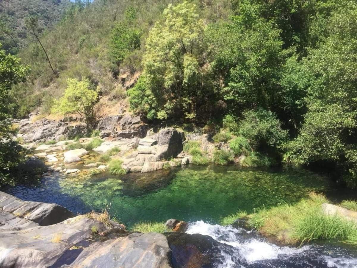 Lago Da Garca Guesthouse 사오페드로도술 외부 사진