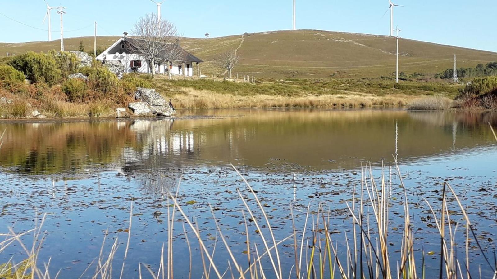Lago Da Garca Guesthouse 사오페드로도술 외부 사진